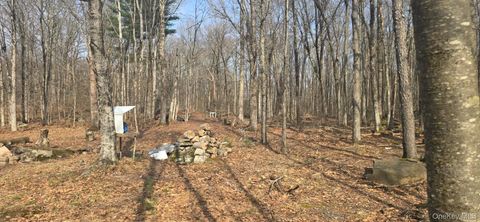 Vacant Land For Sale - 8 Starlight Drive<br/> Sullivan County, Monticello, NY 12701