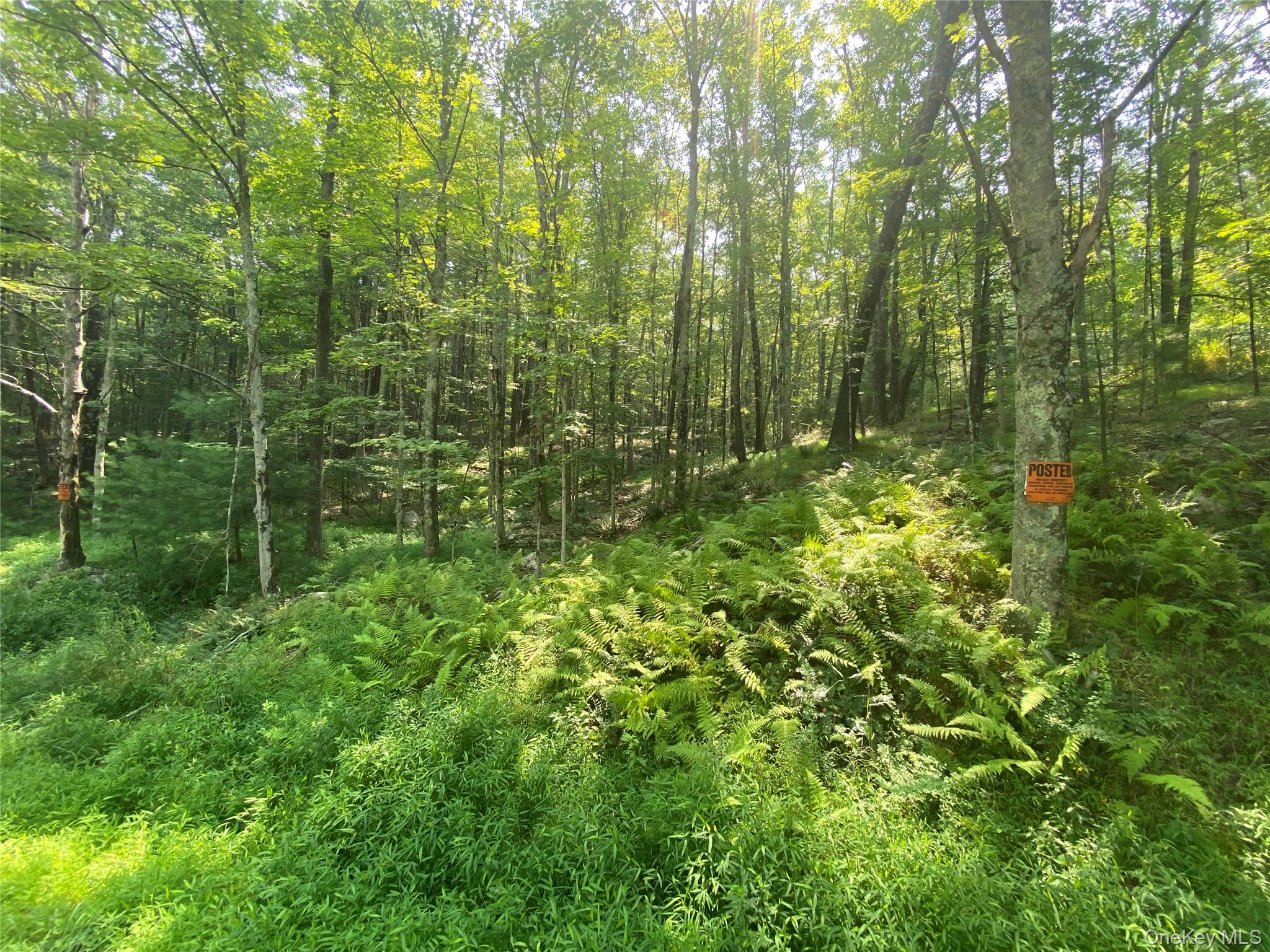 South Road