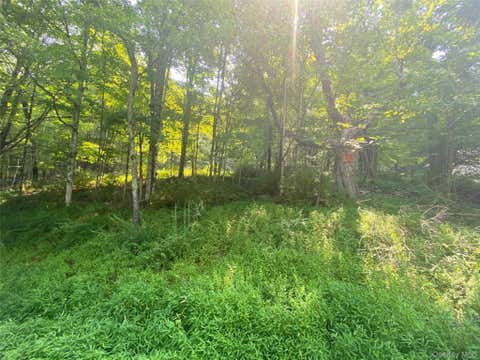 Vacant Land For Sale - South Road<br/> Wurtsboro, NY 12790
