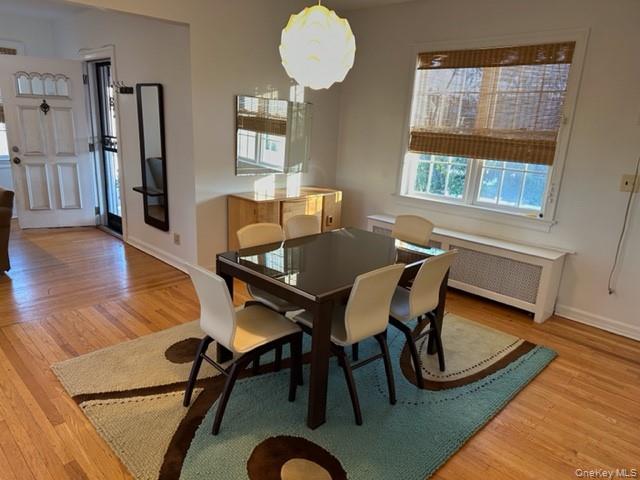 215 Roosevelt Boulevard