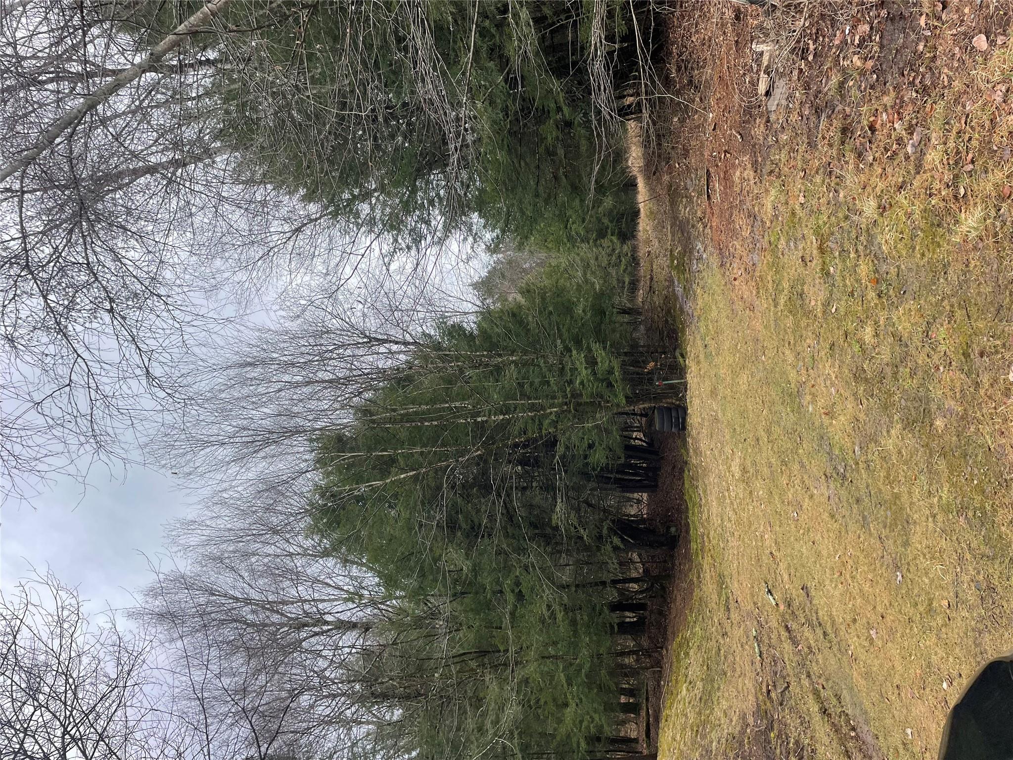 39 Birch Lane, Swan Lake, New York image 1