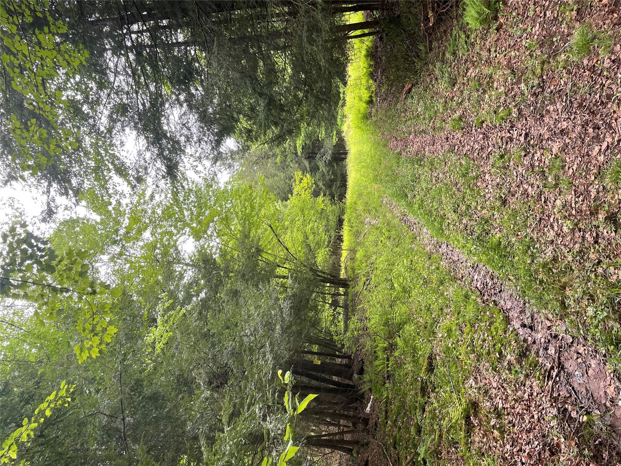 39 Birch Lane, Swan Lake, New York image 15