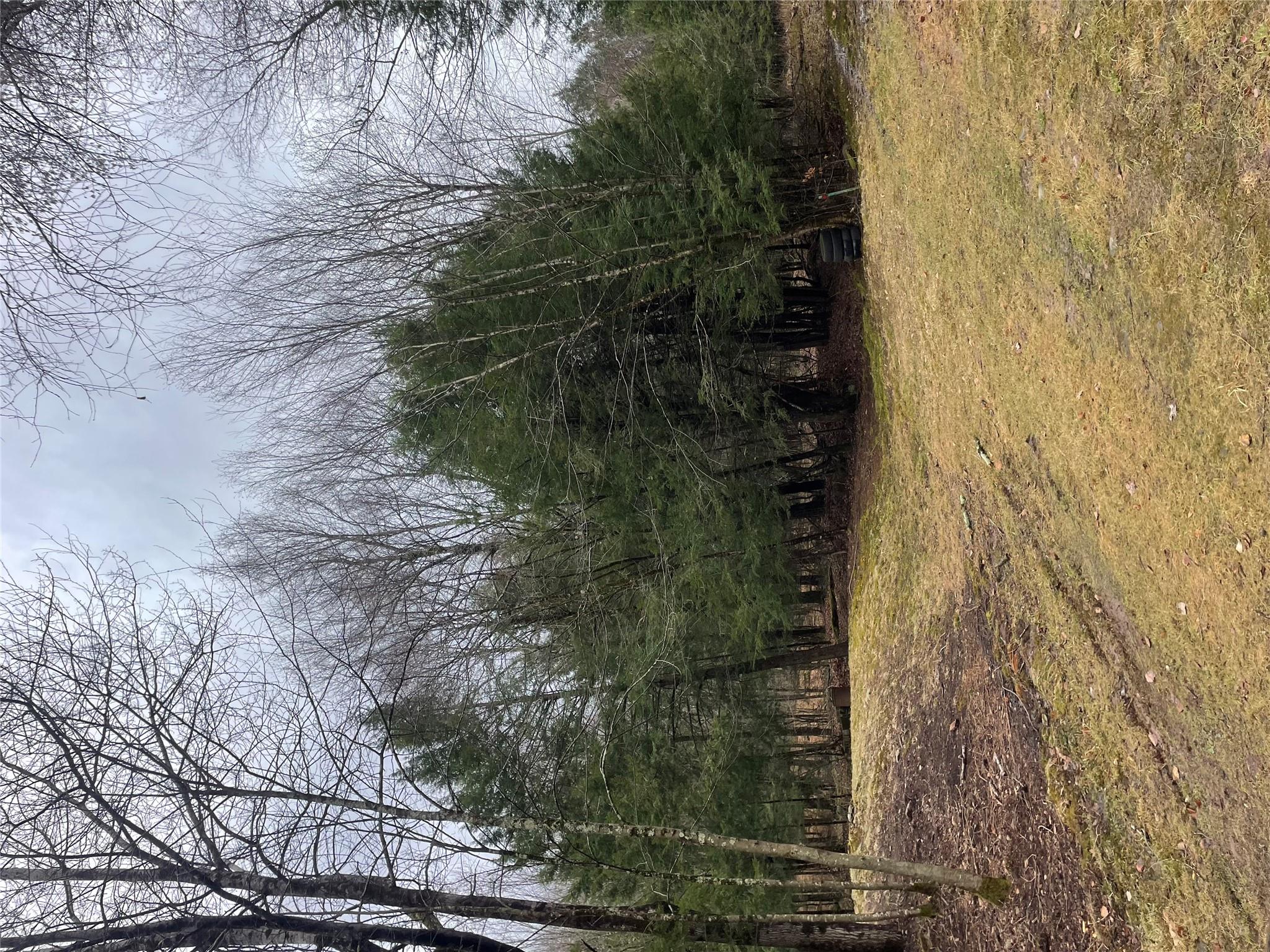 39 Birch Lane, Swan Lake, New York image 7