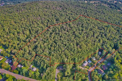 Vacant Land For Sale - 39 Birch Lane<br/> Swan Lake, NY 12783