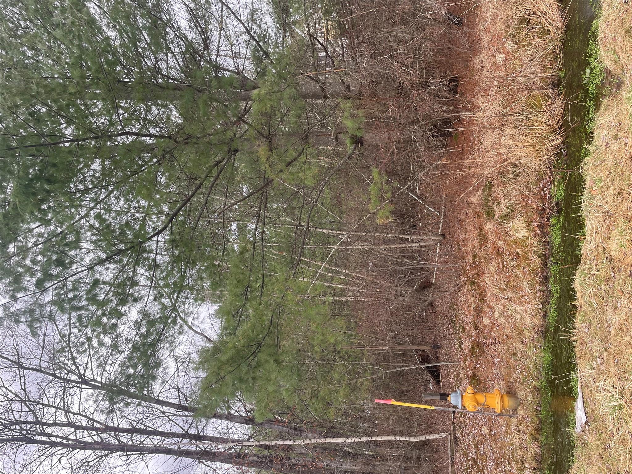 39 Birch Lane, Swan Lake, New York image 4