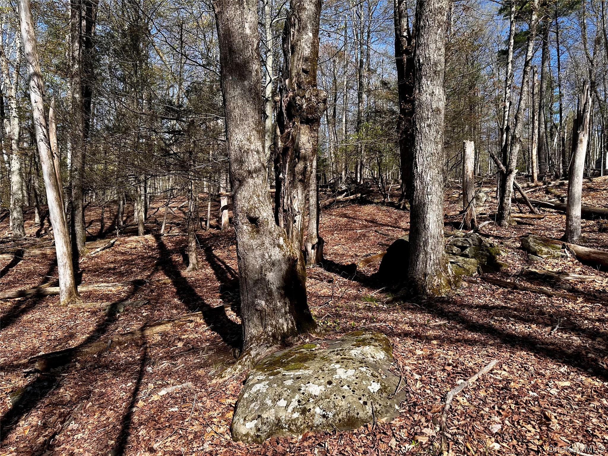 0 Lot Cross Patch Road