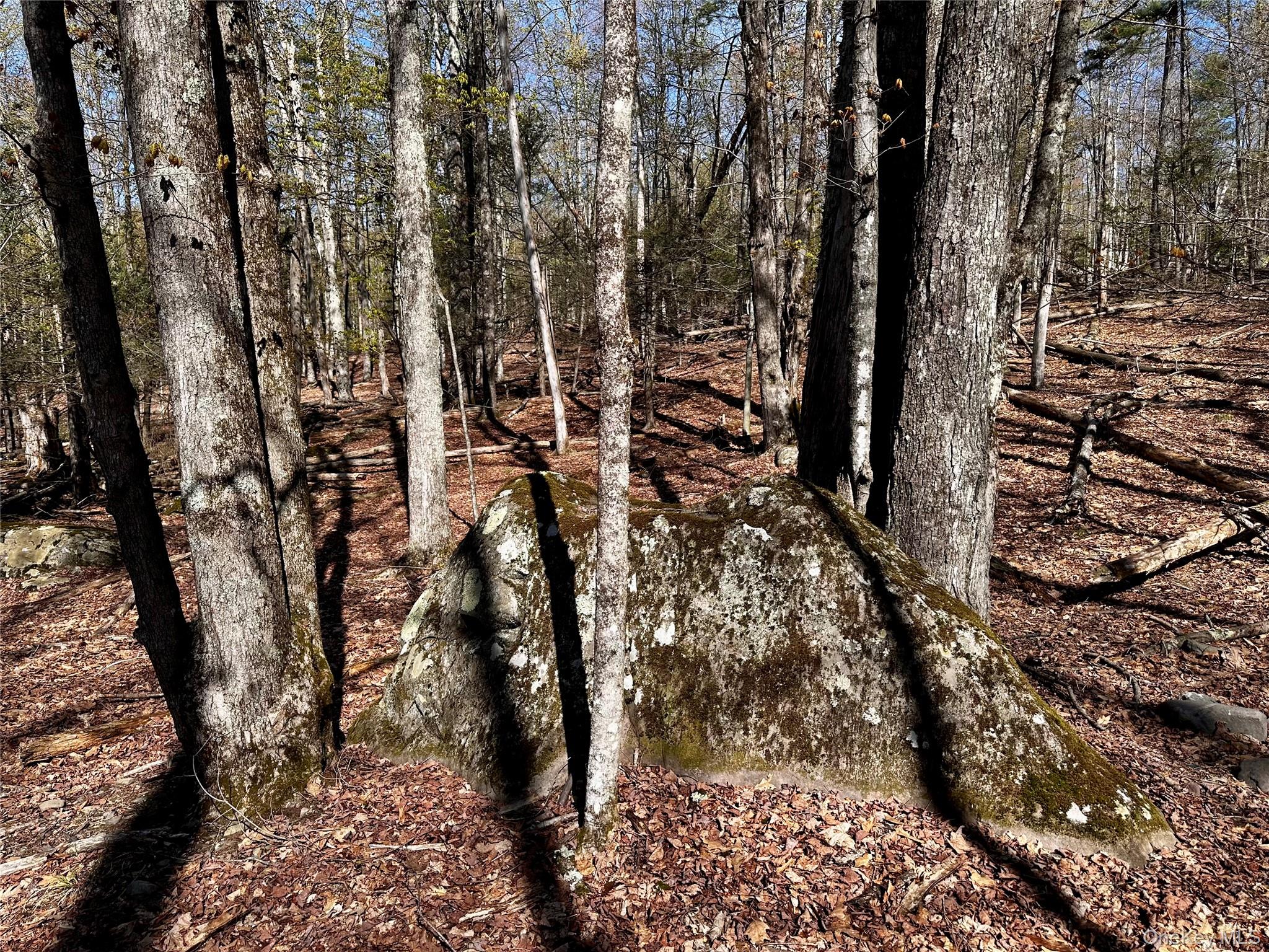 0 Lot Cross Patch Road