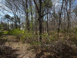 VL Lambert Avenue, Mastic, New York image 2