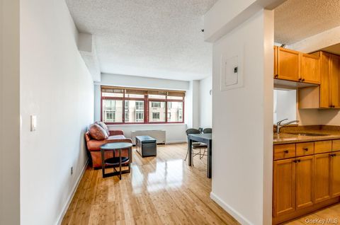 Condo For Rent - 4-74 48th Avenue #4V<br/> Long Island City, NY 11109
