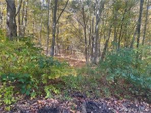 0 BUDD LANE, MILLERTON, NY 12546 - Image f49f94f377bed5ad7a86c5cecf040eb3/648500
