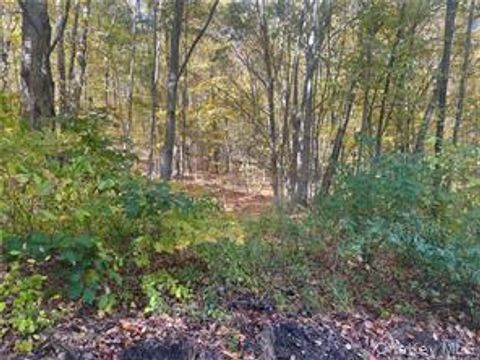 Vacant Land For Sale - Budd Lane<br/> Dutchess County, Millerton, NY 12546