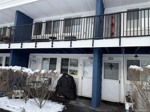 3 Wyndover Woods Lane 10 White Plains NY 10603