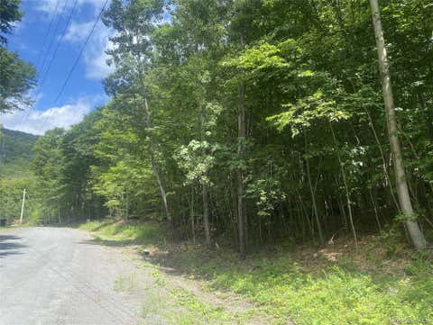 Vacant Land For Sale - 140 Arbor Road<br/> West Kill, NY 12452