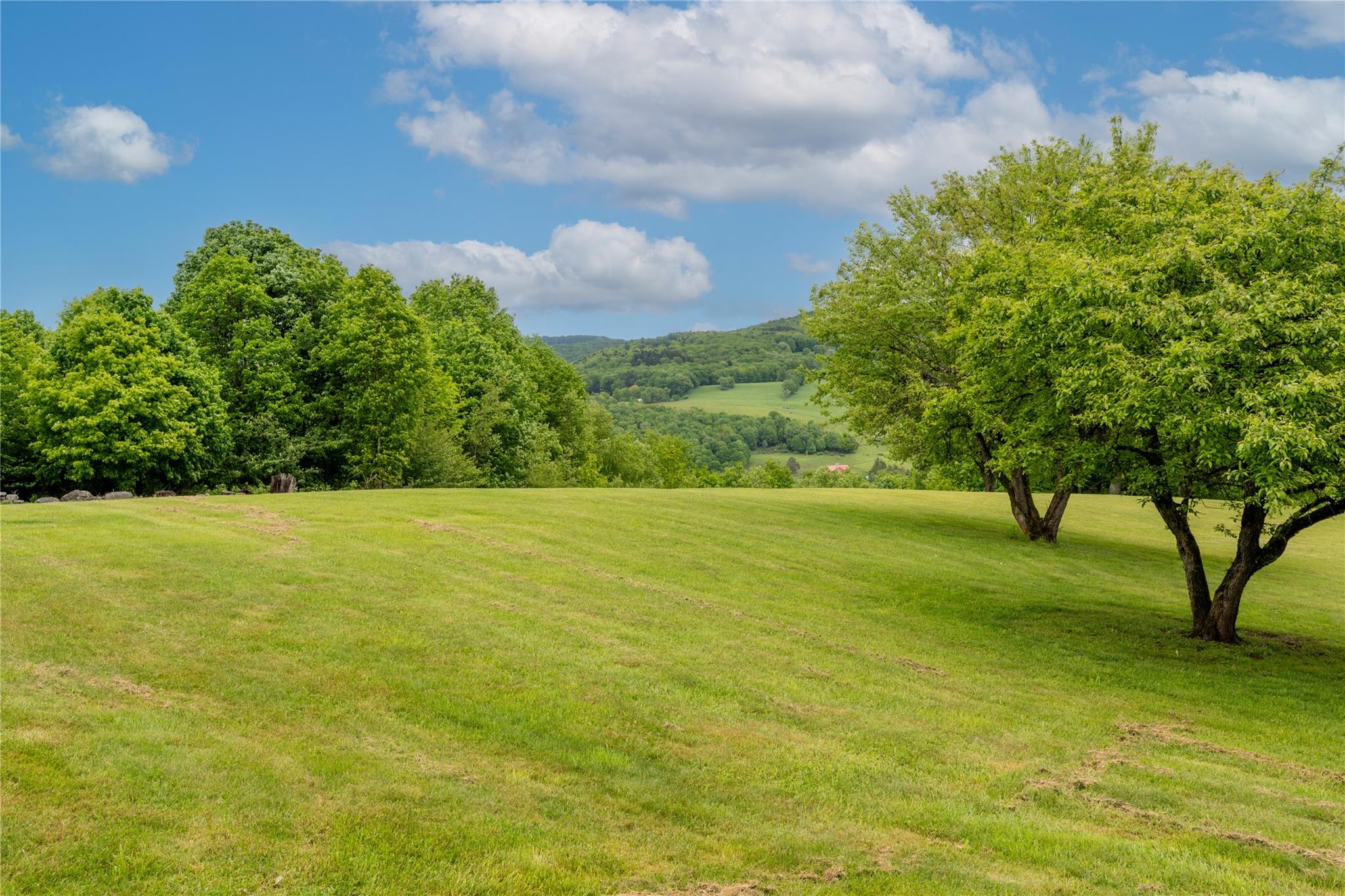 726 Launt Hollow Road, Hamden, New York image 8