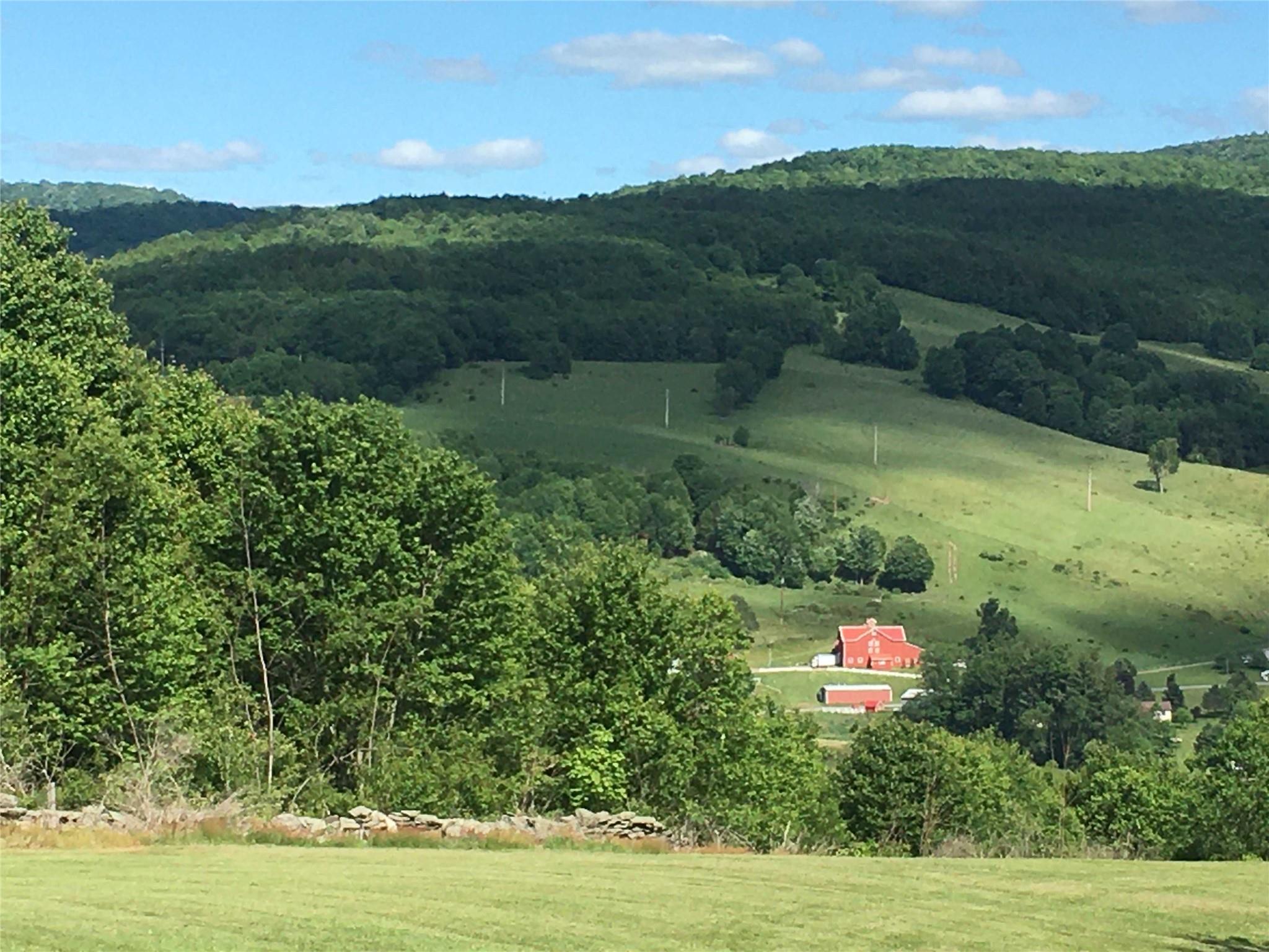 726 Launt Hollow Road, Hamden, New York image 10