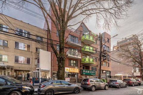 132-36 41st Avenue Flushing NY 11355