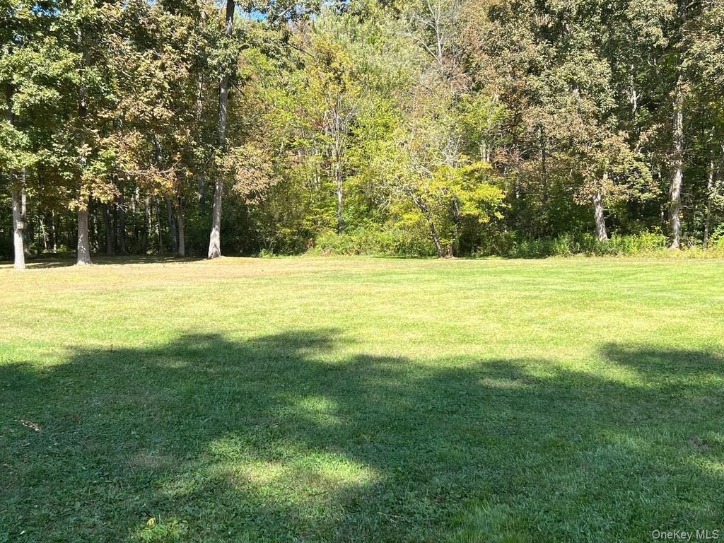 Photo of 1665 Bulls Head Road, Clinton Corners, NY 12514 (MLS # 924934)