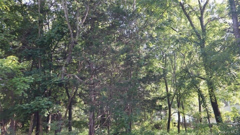 Vacant Land For Sale - 126 Huckleberry Turnpike<br/> Wallkill, NY 12589
