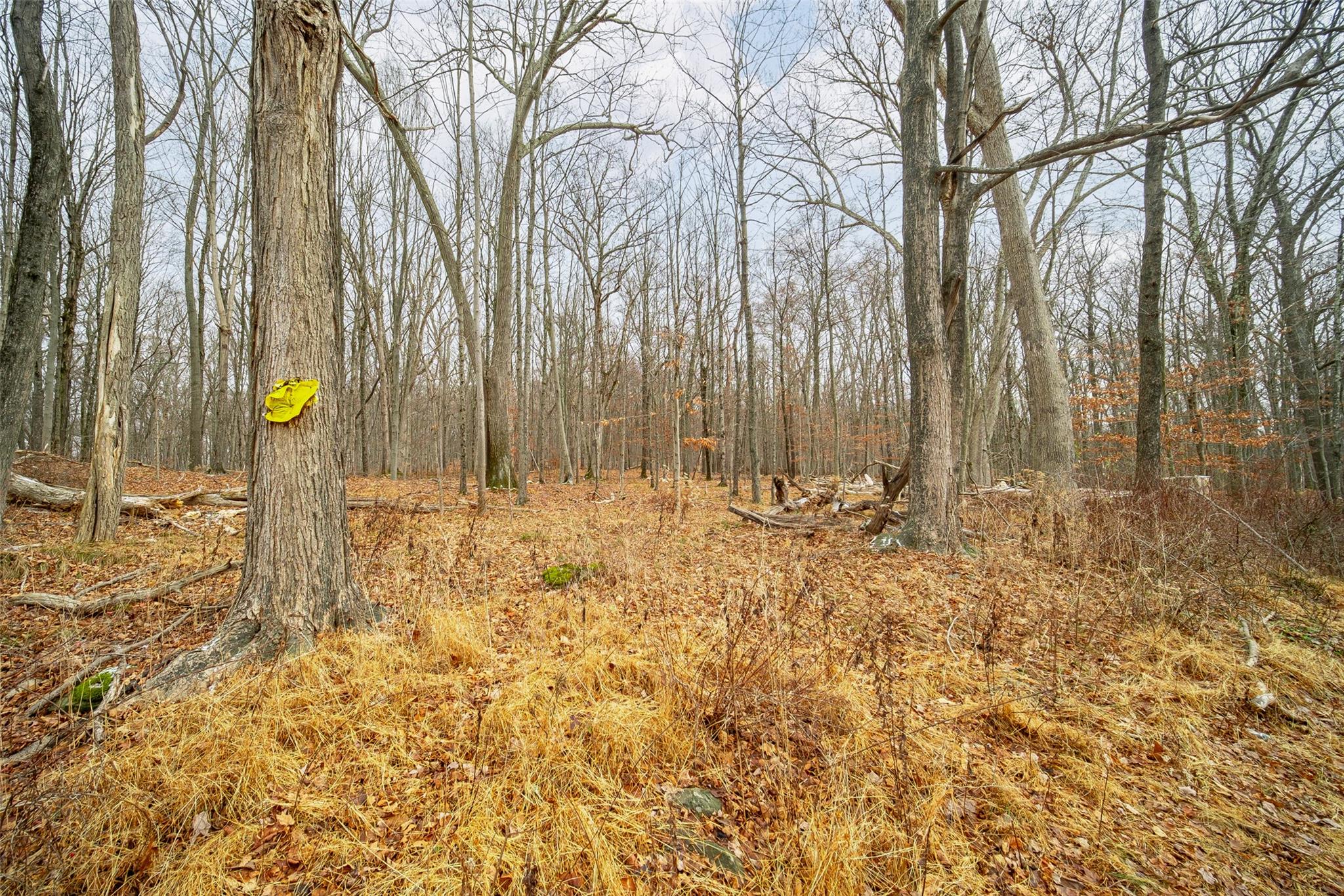 Baker Road, Hopewell Junction, New York image 3