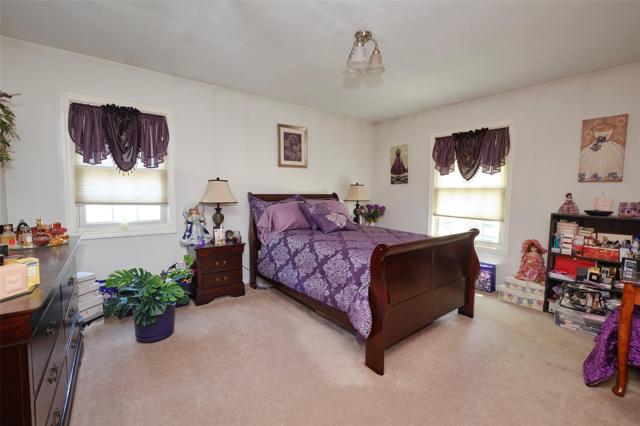 225 Oak Street, Floral Park, New York image 16