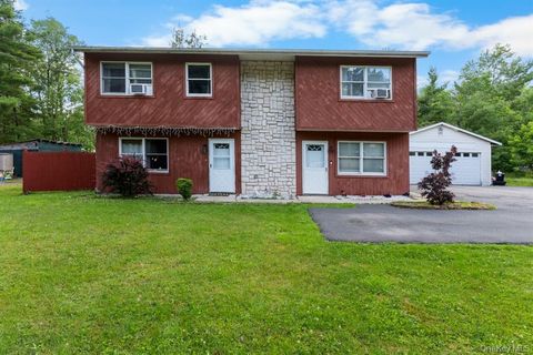 162 Park Avenue Monticello NY 12701