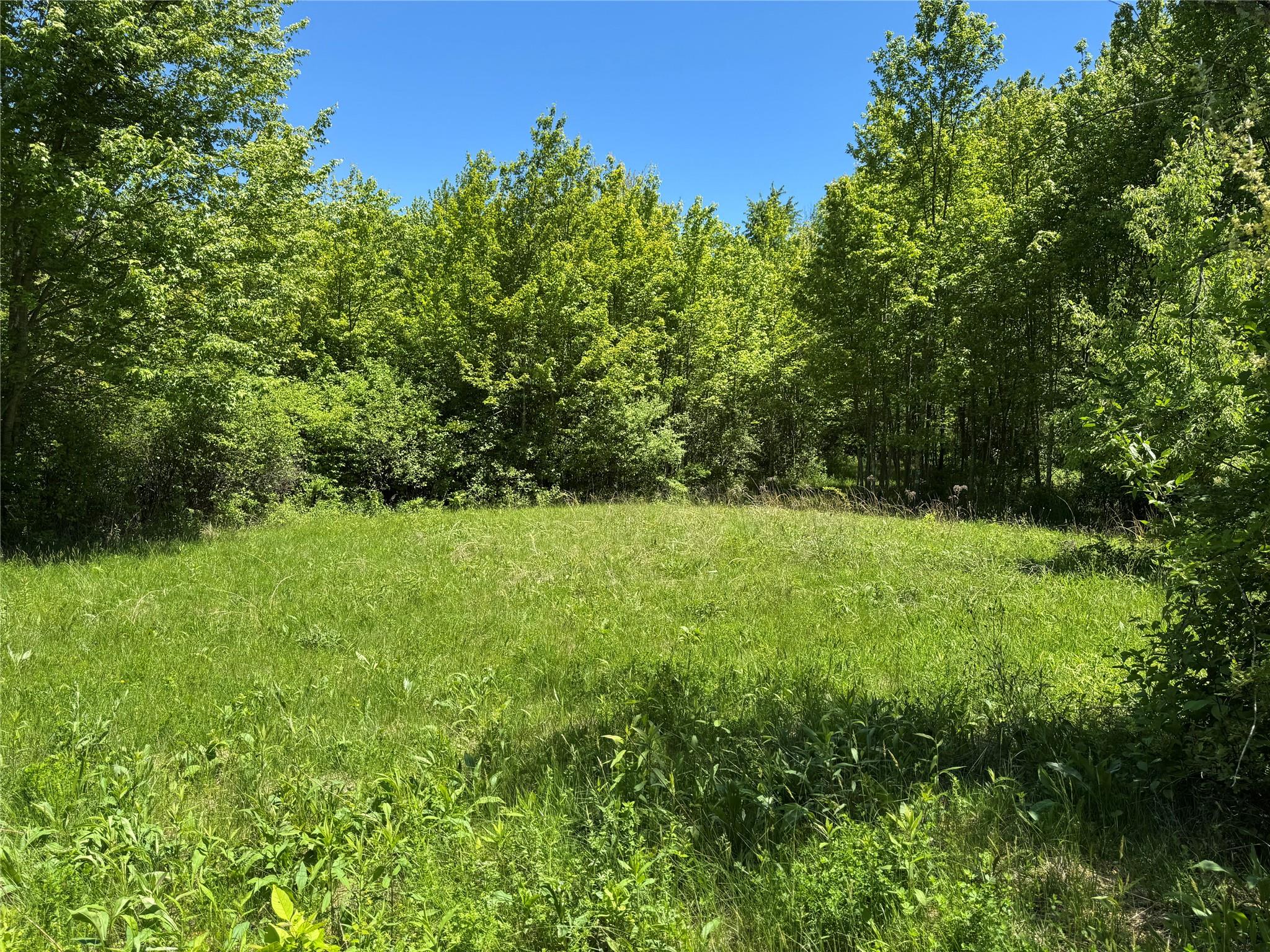 TBD Parcel 1 Woodstock Road, Millbrook, New York image 1