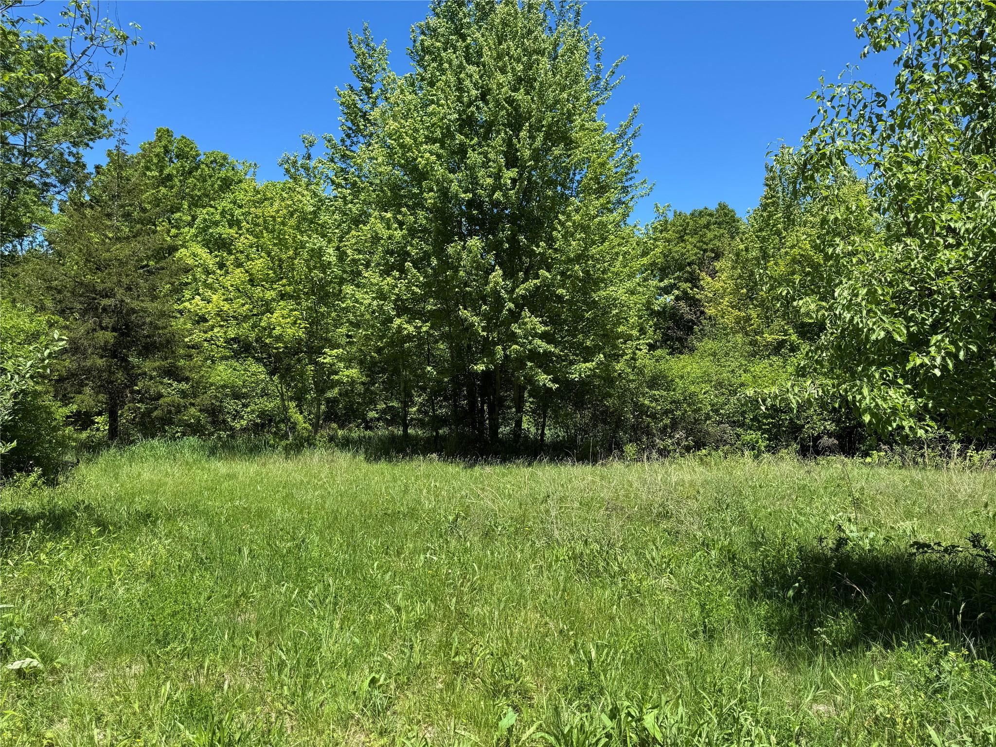 TBD Parcel 1 Woodstock Road, Millbrook, New York image 6