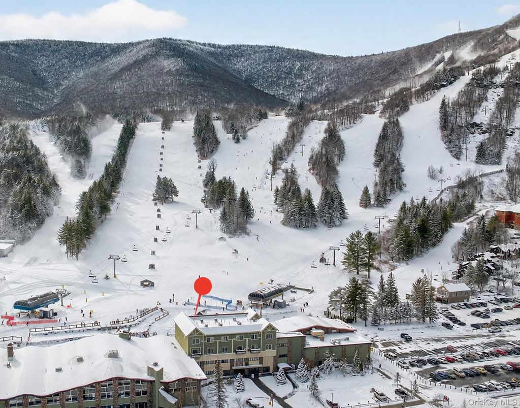 Photo of 64 Klein Avenue #507, Hunter, NY 12442 (MLS # 945109)