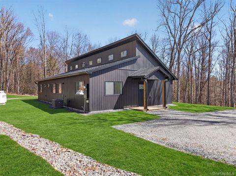 273 Perry Pond Road Narrowsburg NY 12764