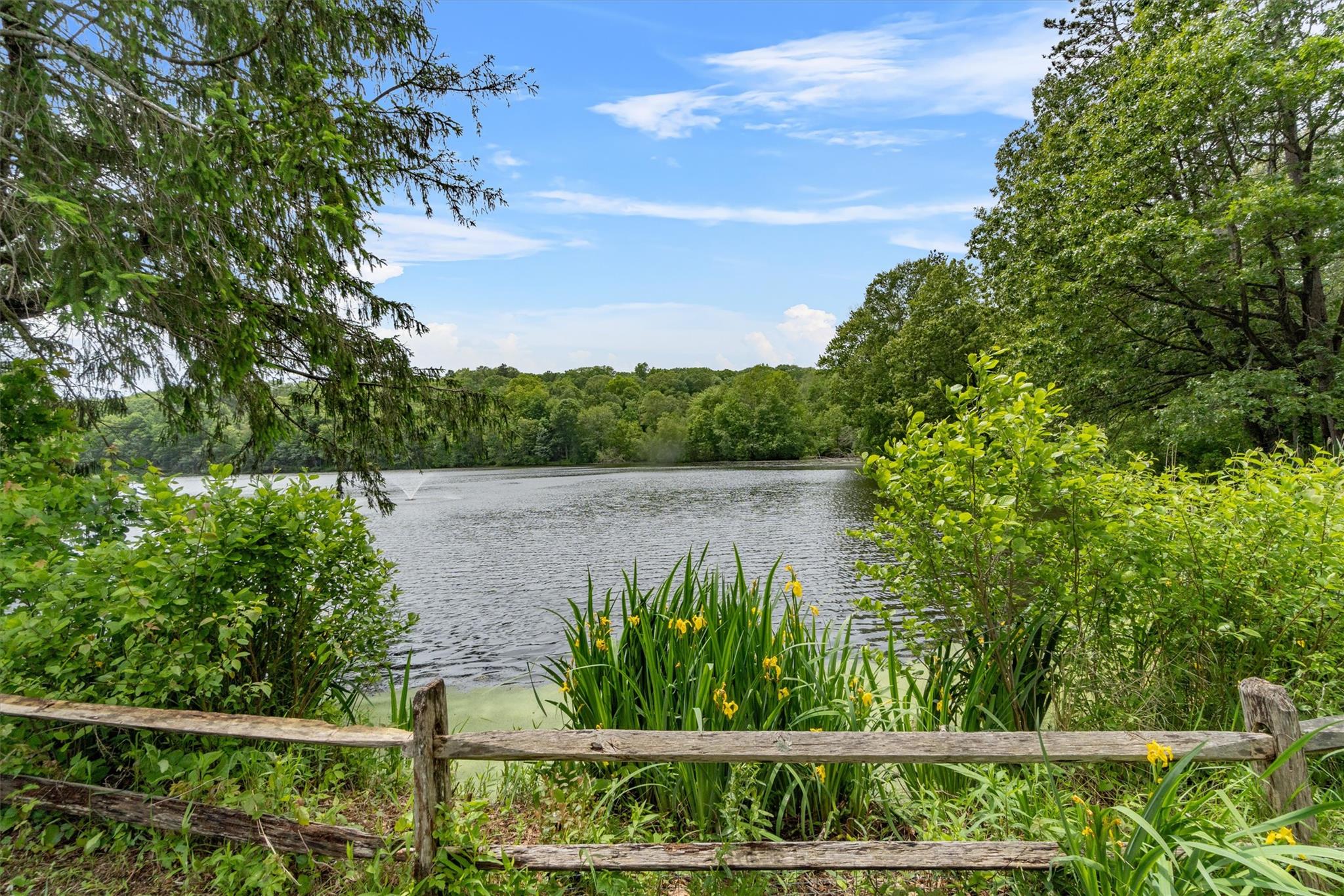 41 Birch Trail, Carmel, New York image 48