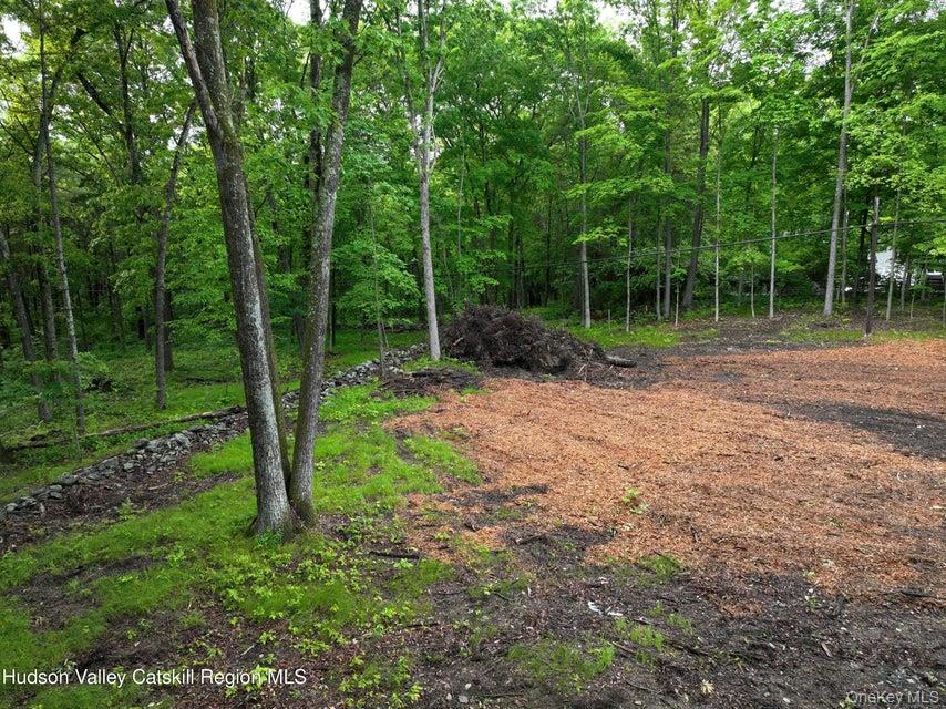 154 Forest Hill Drive