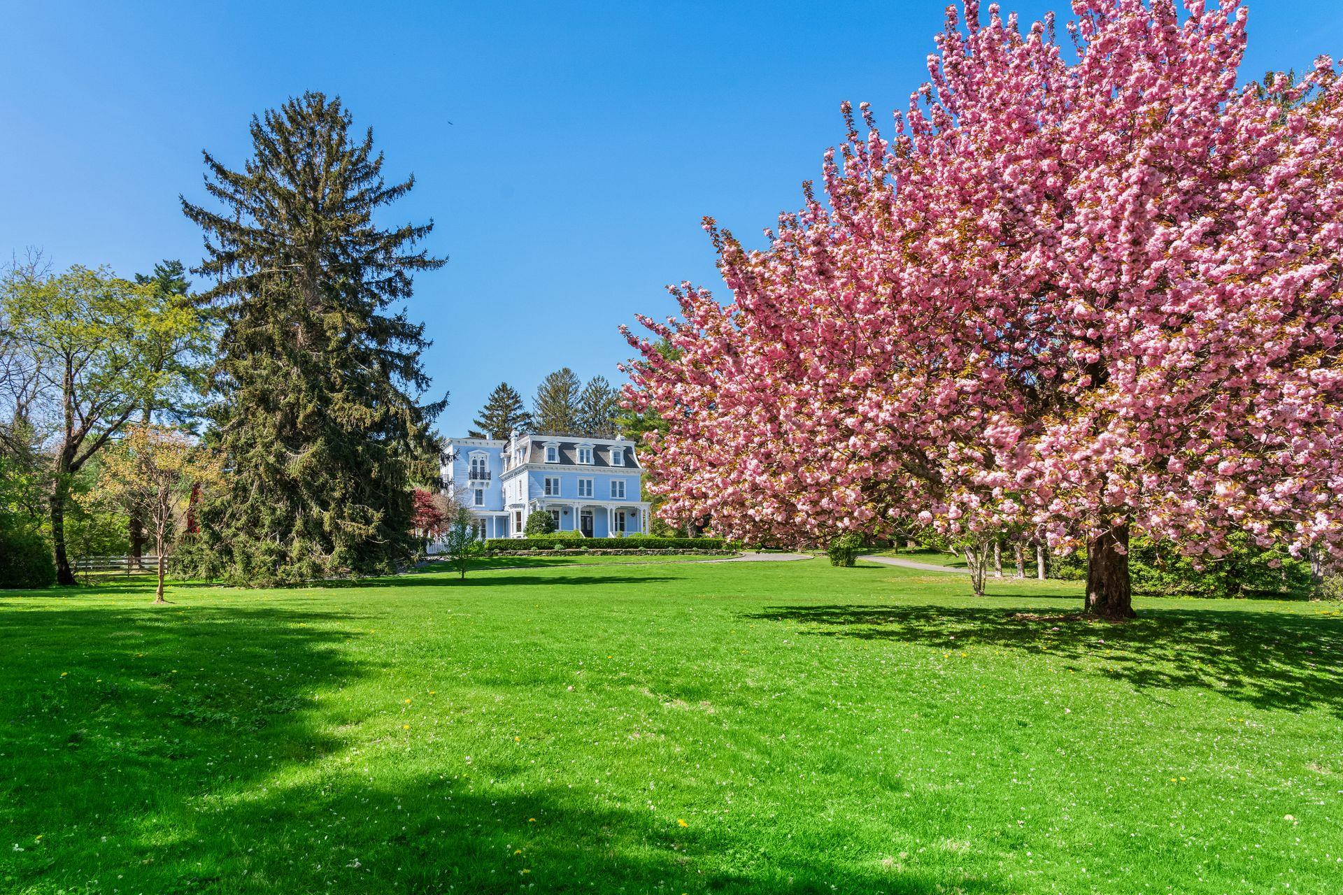 381 W Neck Road