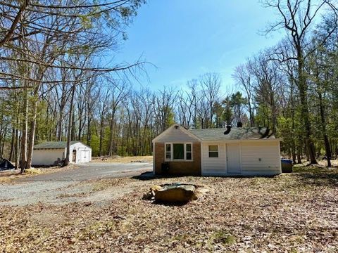 Photo of 42 Devlin Road, Highland Lake, NY 12743 (MLS # 983592)