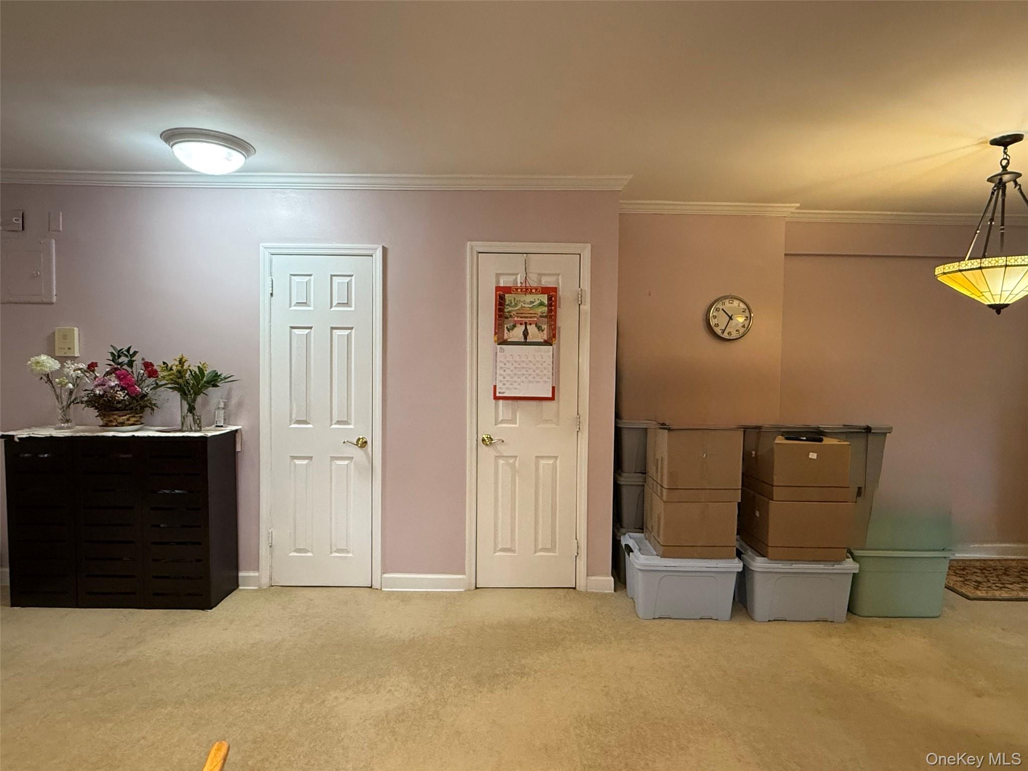 215-19 48th Avenue 2C