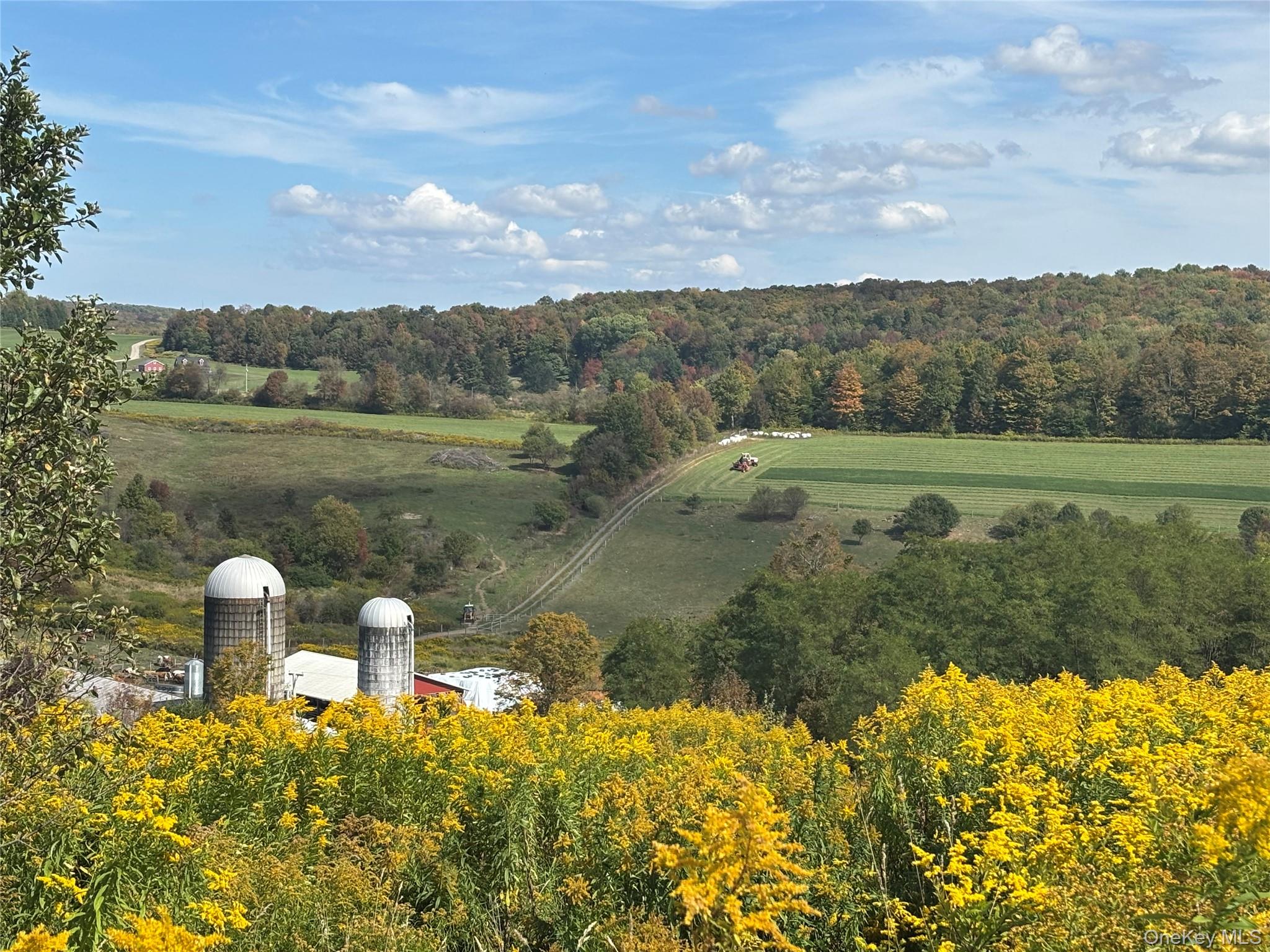 413 Middlefield Road