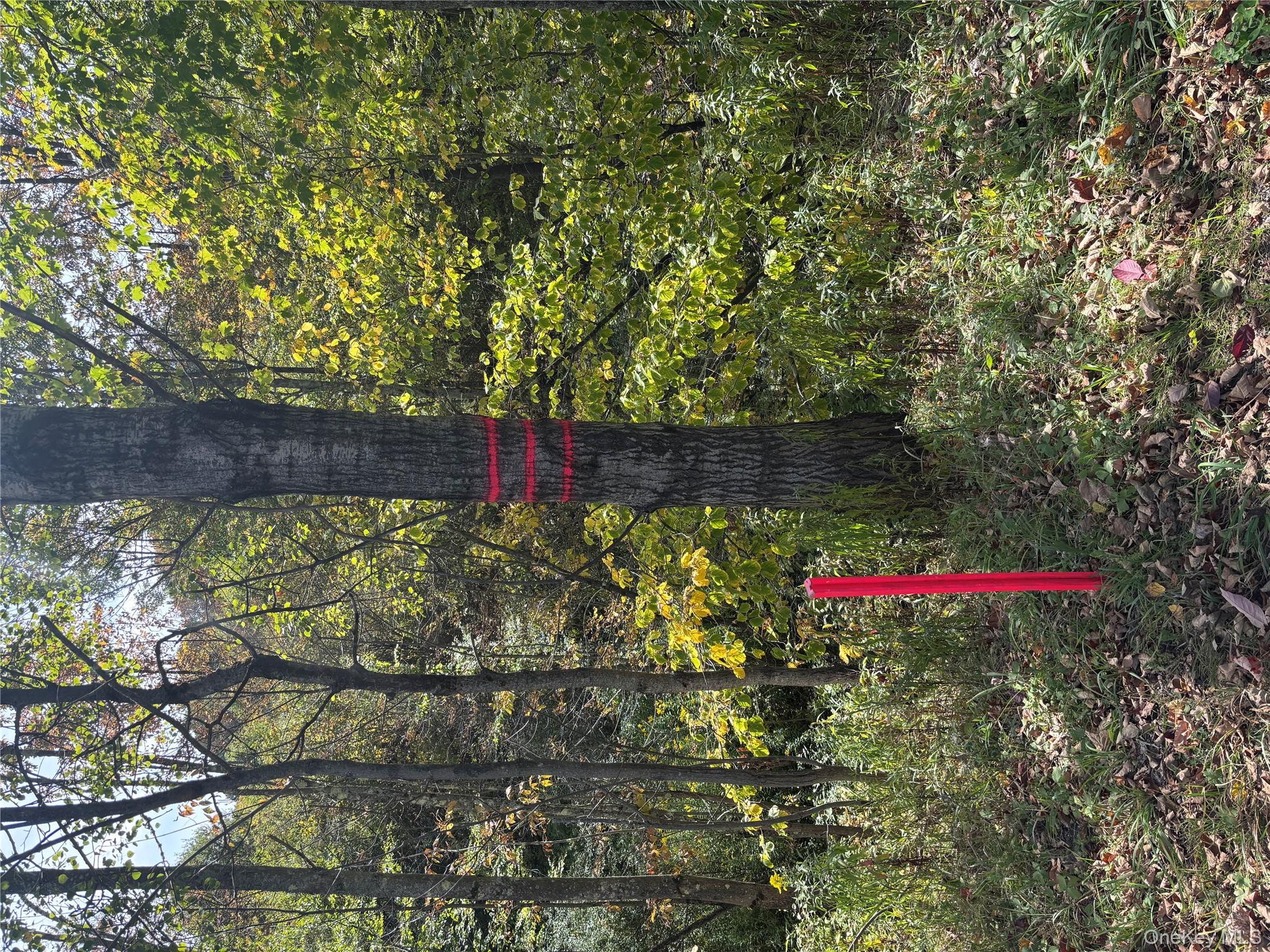 413 Middlefield Road