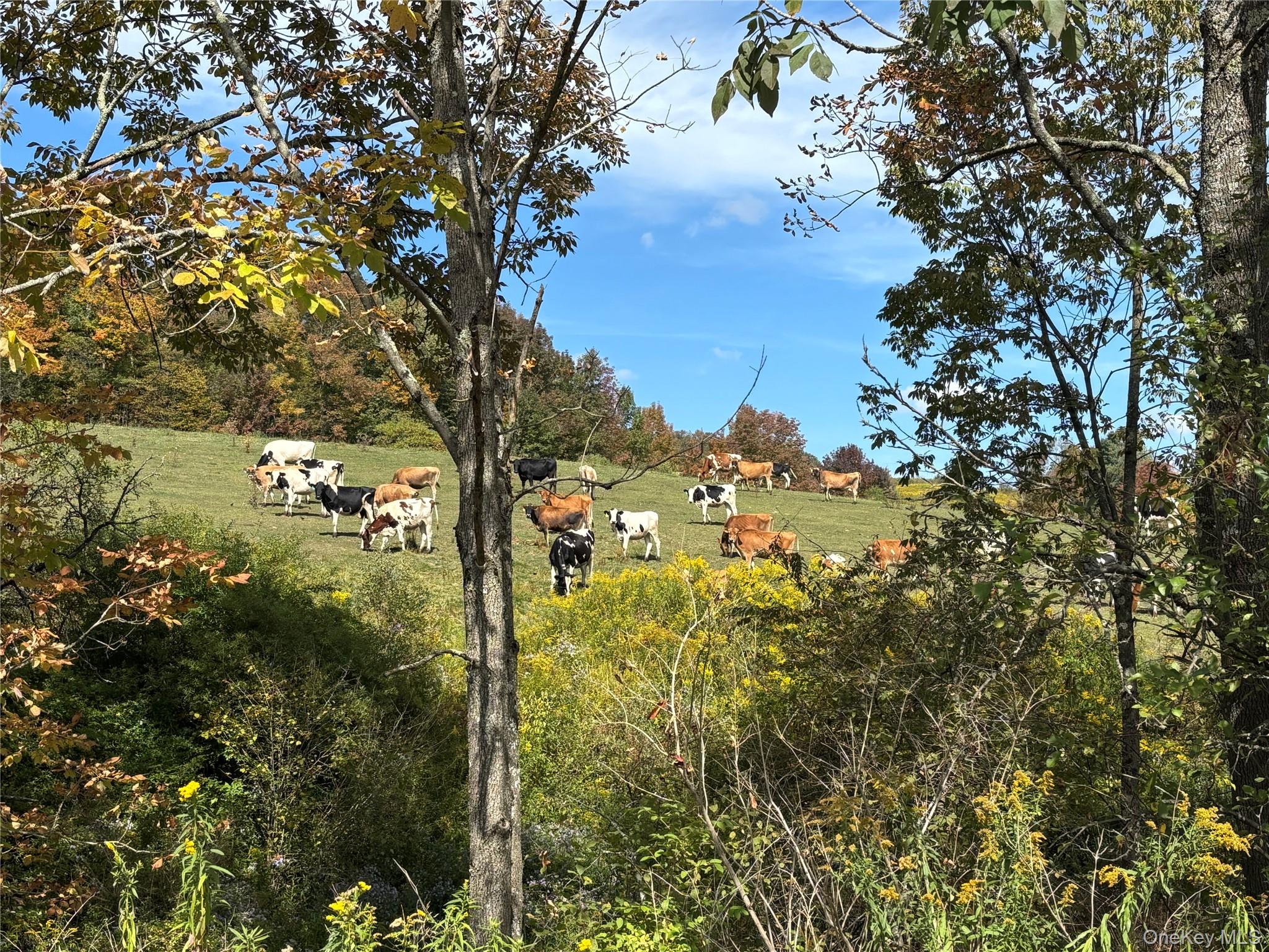 413 Middlefield Road