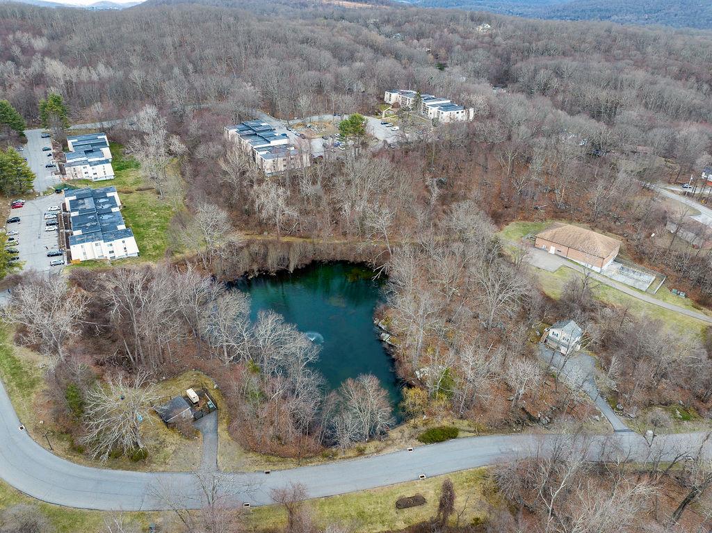 629 Fox Run Lane, Carmel, New York image 8