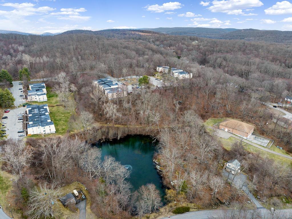 629 Fox Run Lane, Carmel, New York image 28