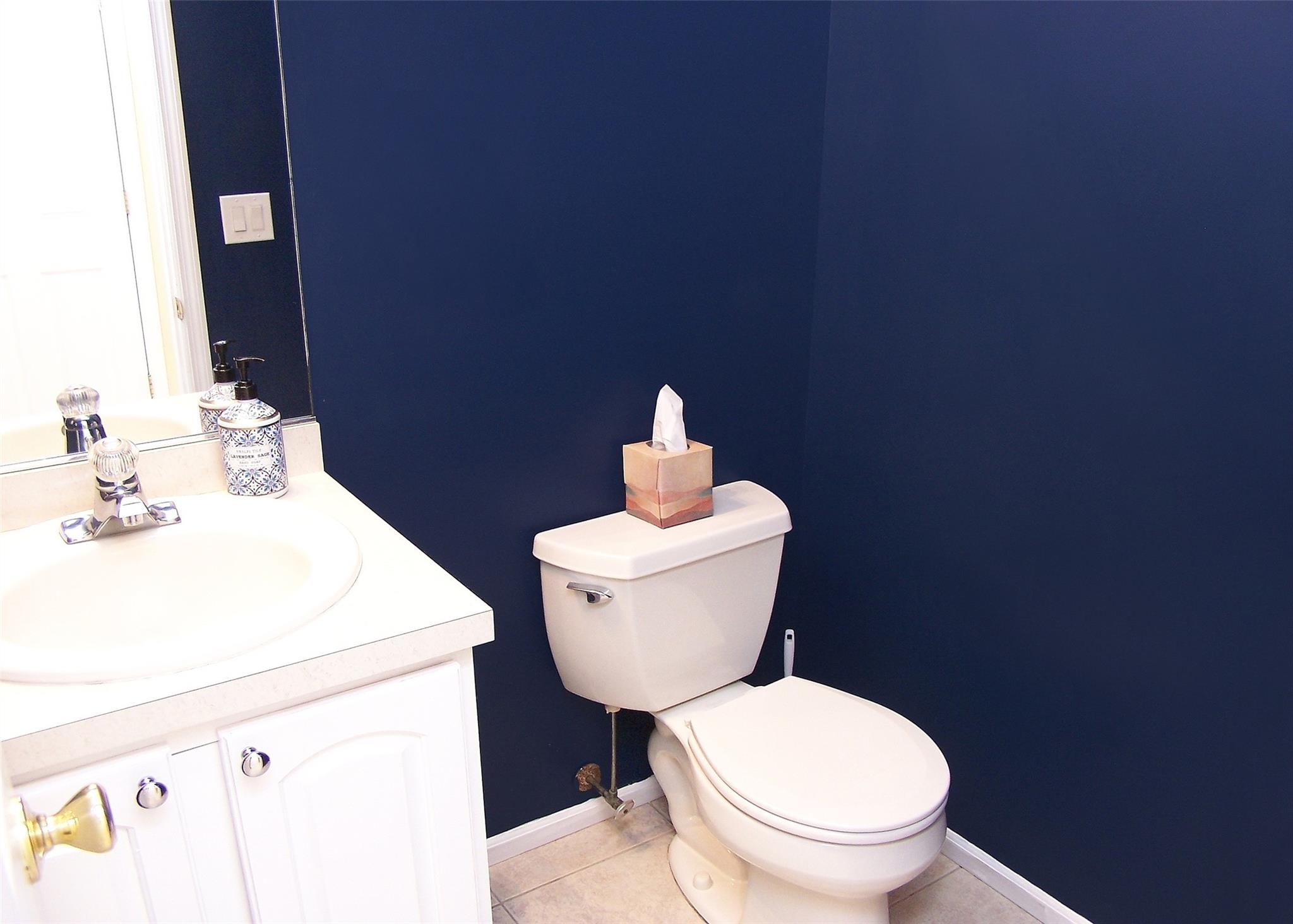 52 Summerfield Drive, Holtsville, New York image 12