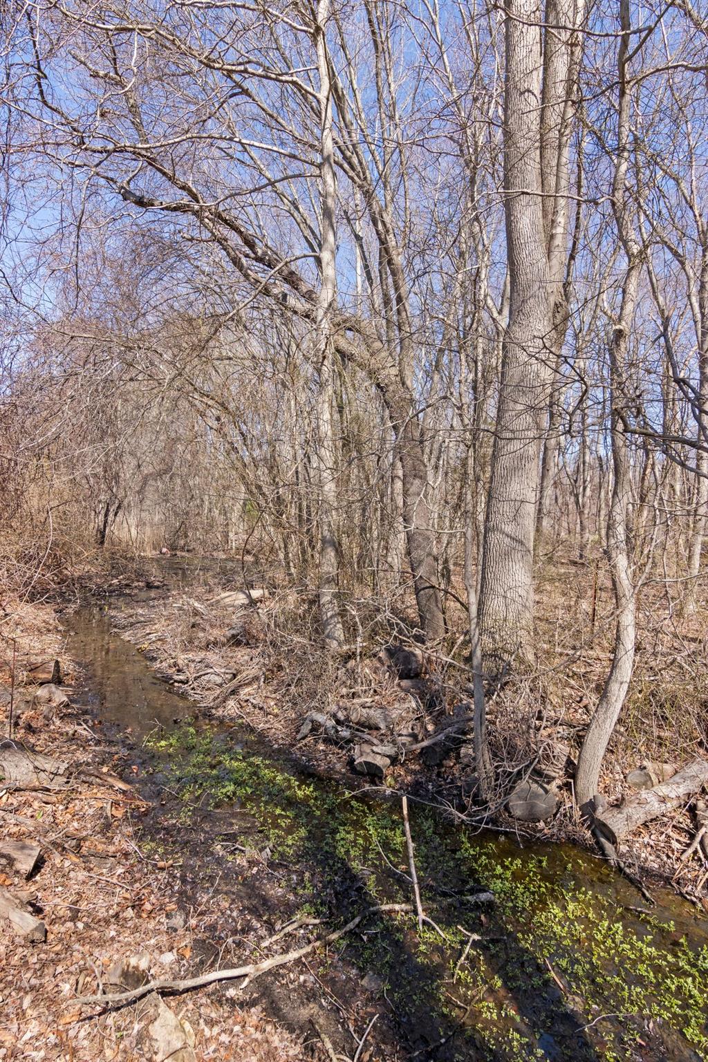 43 E Harrison Avenue, Hauppauge, New York image 26