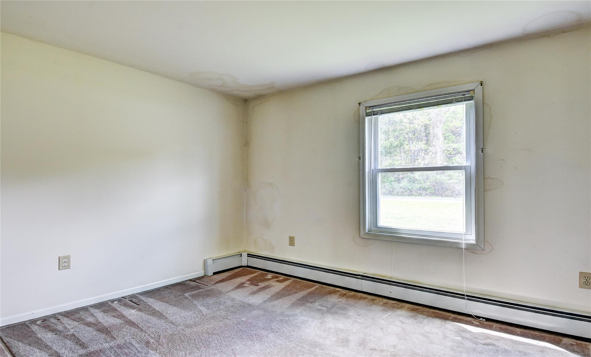 10 Perkinsville Road, Highland, Virginia image 19