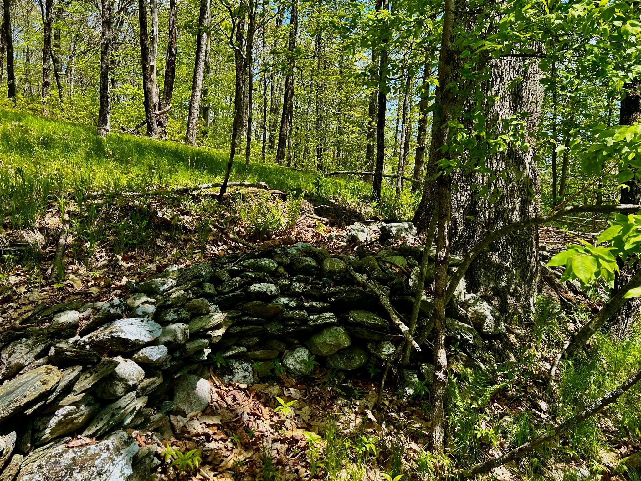 4 West Hill Road, Austerlitz, New York image 18