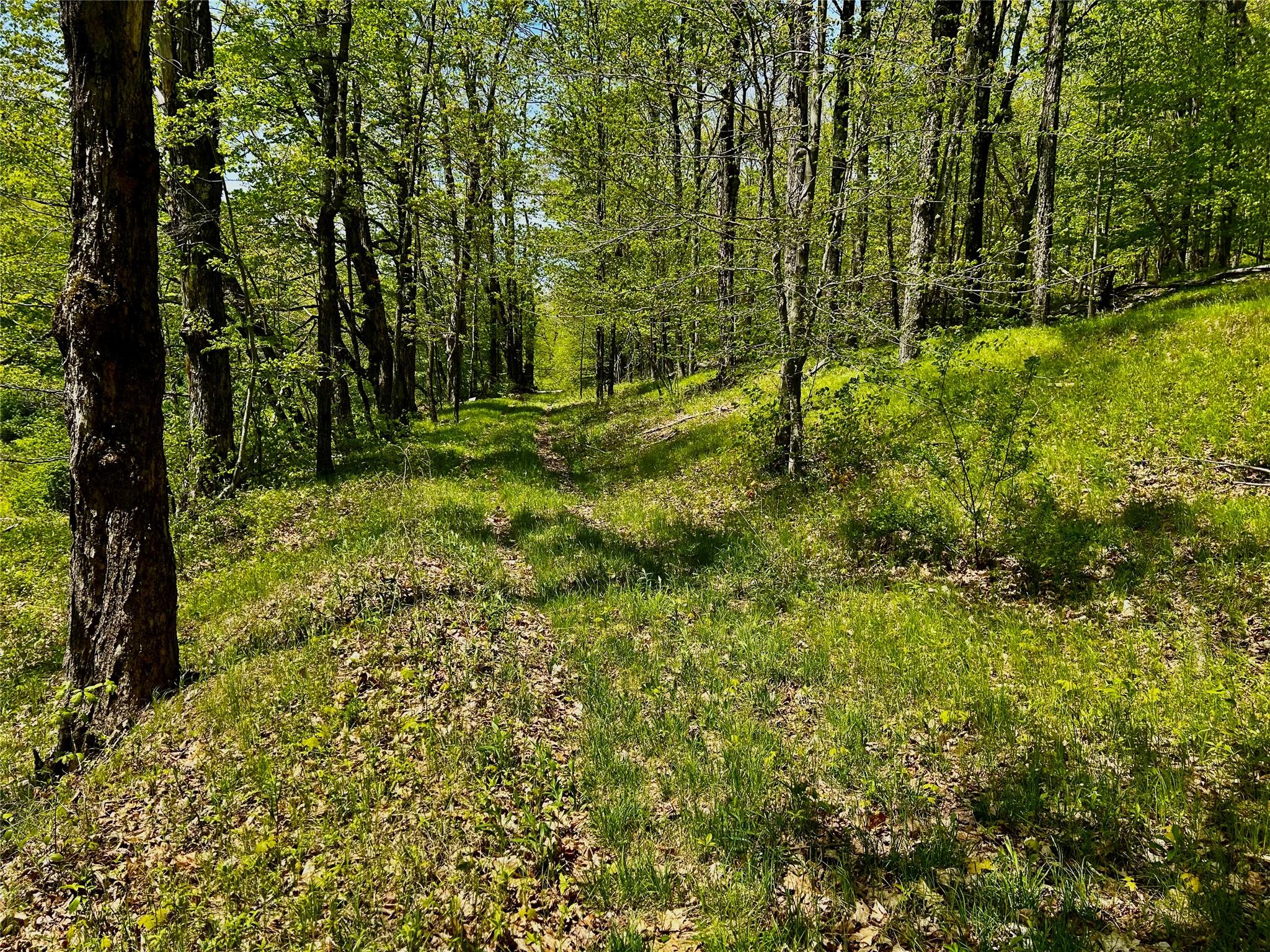 4 West Hill Road, Austerlitz, New York image 17