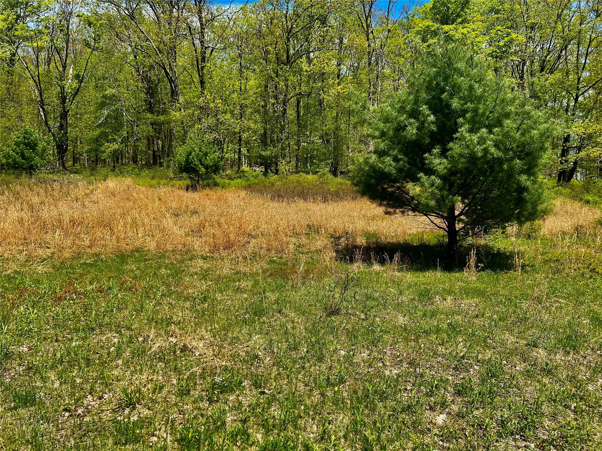 4 West Hill Road, Austerlitz, New York image 13