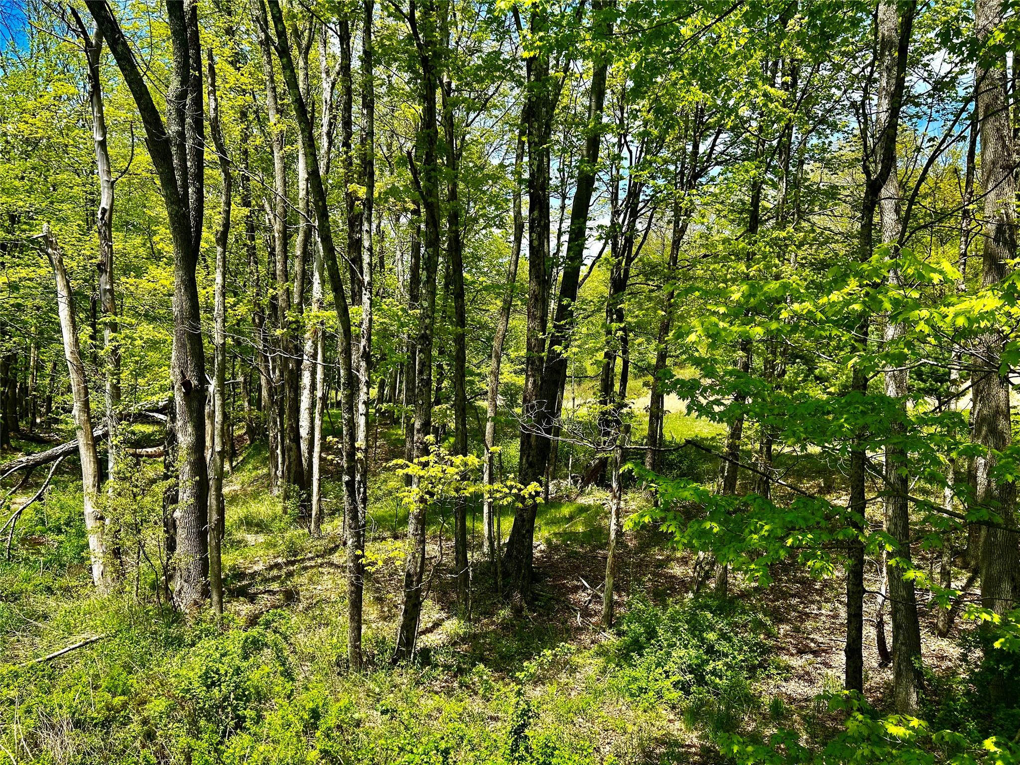 4 West Hill Road, Austerlitz, New York image 16