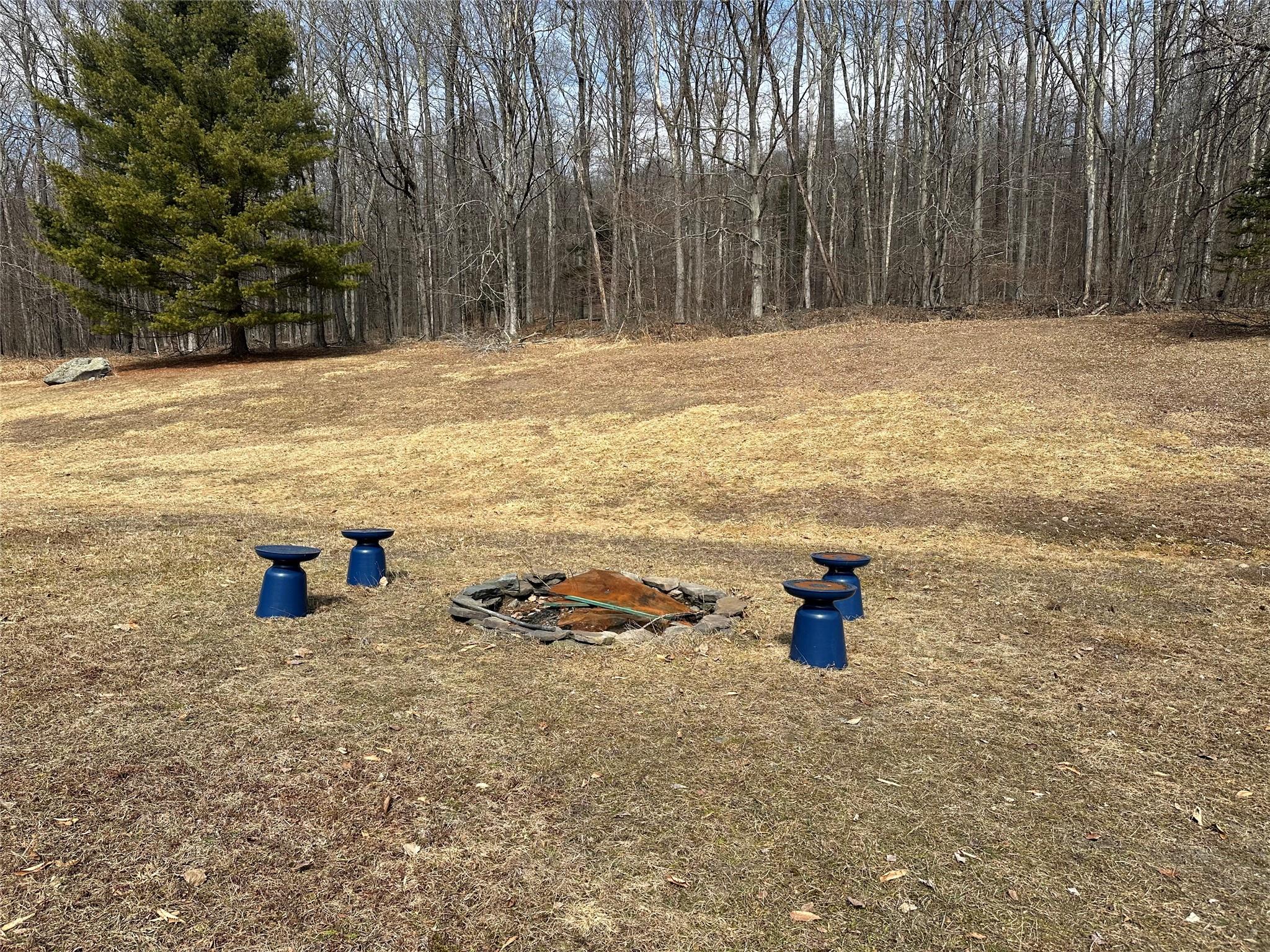 291 Beaverkill Road, Livingston Manor, New York image 7
