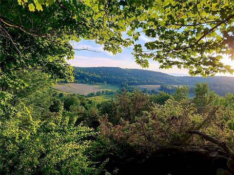 Vacant Land For Sale - 295 Pleasant Valley Road<br/> North Branch, NY 12766