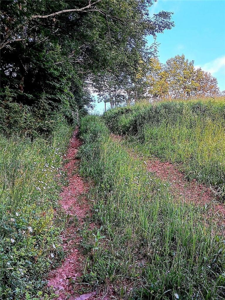 295 Pleasant Valley Road, North Branch, New York image 18