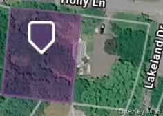 Holly Lane